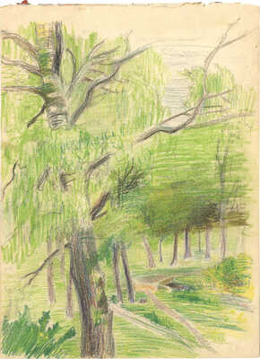 Баснина-Верхоланцева Анна Николаевна. Пейзаж 